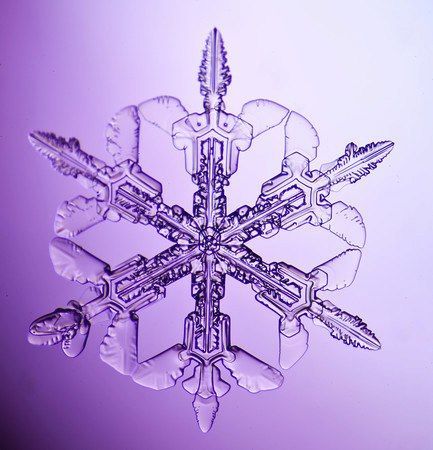 purple snowflake