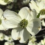 Today was too beautiful…