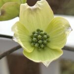 A most wonderful day