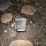 The Great Glycerin Experiment